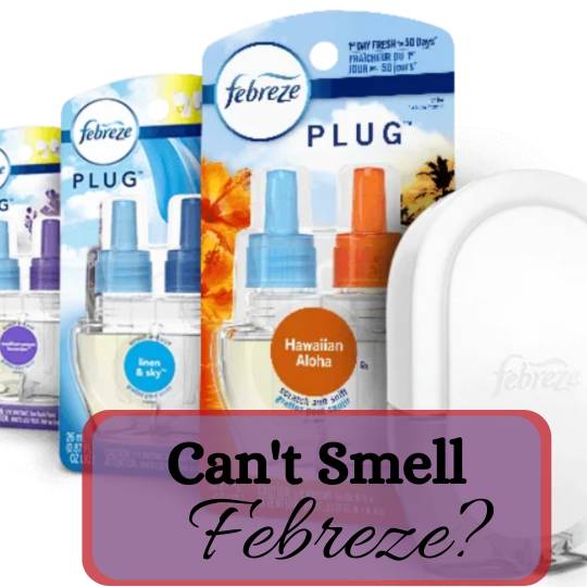 Why Can’t I Smell My Febreze Plug-in? – A Guide to Troubleshooting
