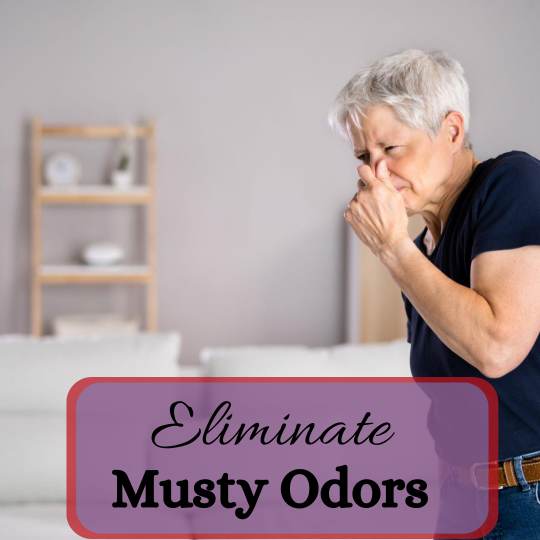 Say Goodbye to Musty Smells in Your Old Building with These Simple Solutions