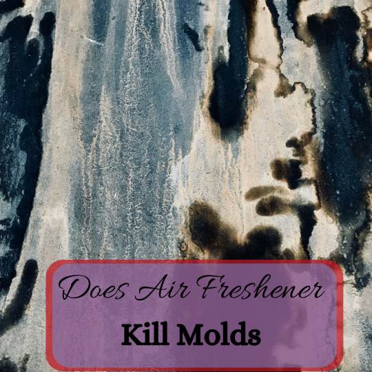 Can Air Fresheners Kill Mold? 