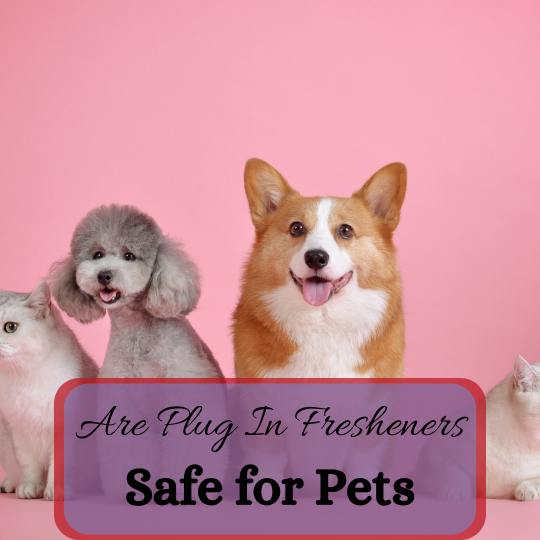 Are Plug-in Air Fresheners Safe For Pets?