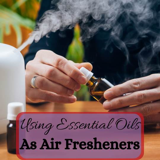 The Benefits of Using Essential Oils as Air Fresheners