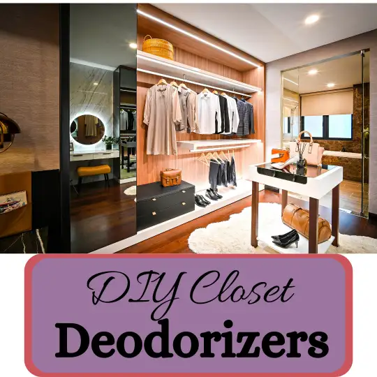 Clear the Air: 9 DIY Deodorizers for a Smell-Free Closet