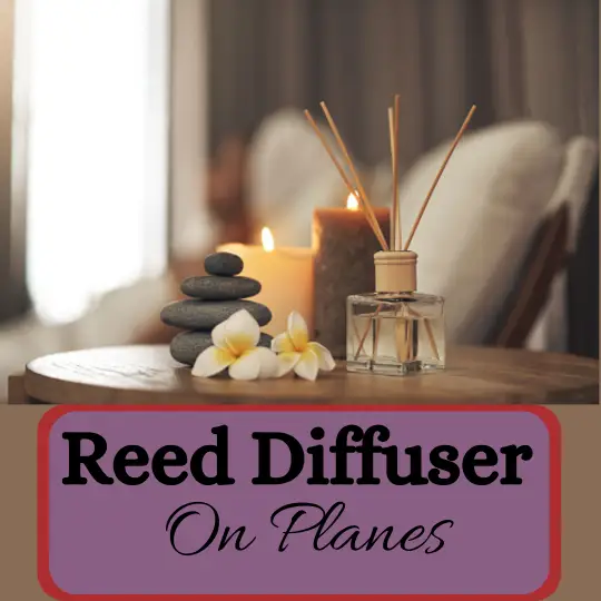 Can You Bring Essential Oil Diffusers on an Airplane? 