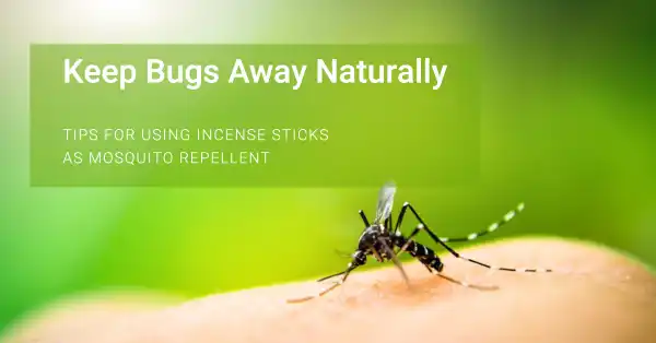 Does Incense Keep Bugs Away Tips for Using Incense Sticks as Mosquito Repellent